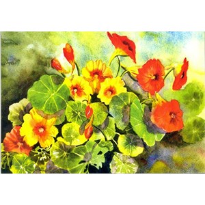 "St. Clements (Nasturtiums)", Mariana-Art