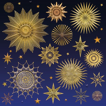 M. Williamson "Stardust" doble kvadratiske kort