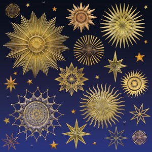 M. Williamson "Stardust" doble kvadratiske kort