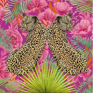 Matthew Williamson "Magenta Poppy" dobbelt kvadratisk kort