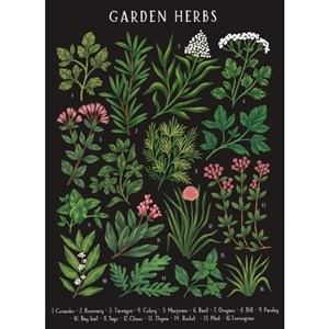 "Kaja Kajfez - Garden Herbs" Dobbelt kunstkort