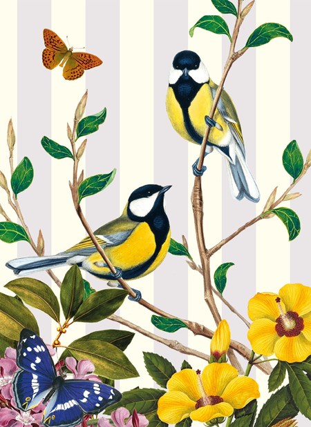 "Natural History Museum - Great Tit" Dobbelt kort