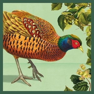Natural History Museum "Common Pheasant" kvadratisk kort