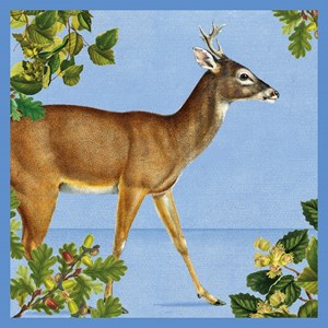 Natural History Museum "Brocket Deer" kvadratisk kort
