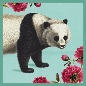 Natural History Museum "Giant Panda" kvadratisk kort