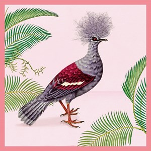 Natural History Museum "Western Crowned Pigeon" kvd kort