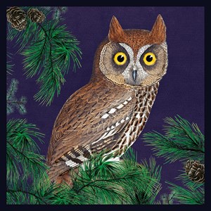 Natural History Museum "Red Owl" kvadratisk kort