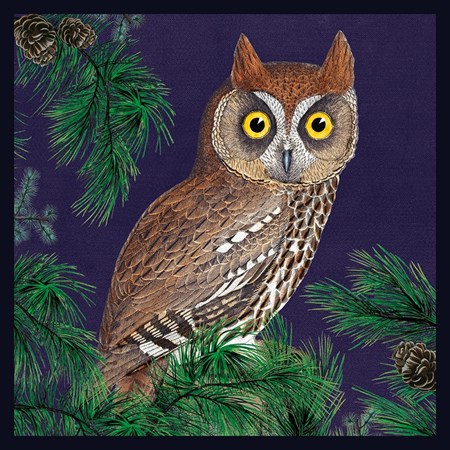 Natural History Museum "Red Owl" kvadratisk kort