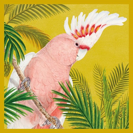 Natural History Museum "Pink Cockatoo" kvadratisk kort