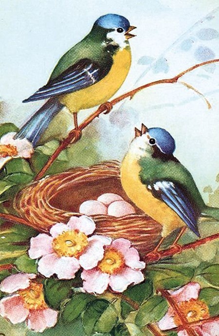 "Bluetits" Påskekort