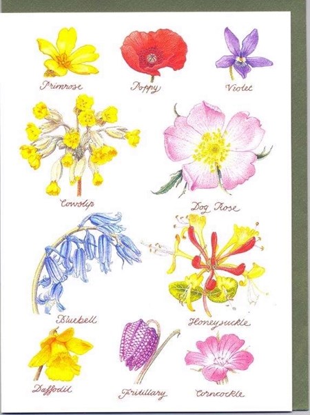 "Wild Flowers"