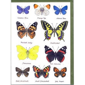 "Butterflies"
