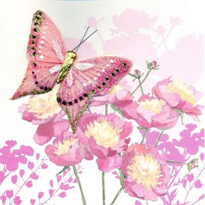 Butterfly Boutique 3D