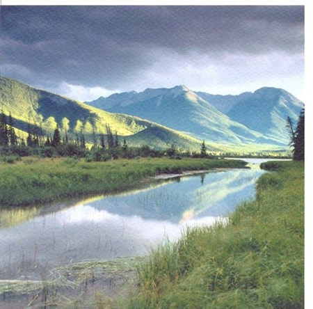 "Mountain Stream", Fotografisk landskap