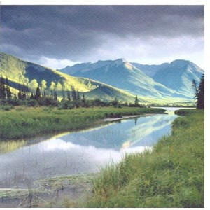 "Mountain Stream", Fotografisk landskap