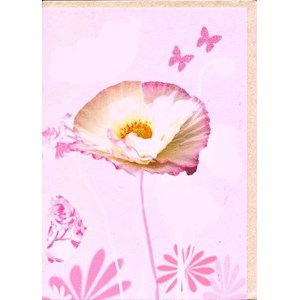 "Oriental Poppy"