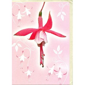 "Fuchsia"