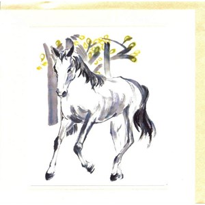 "Hest"