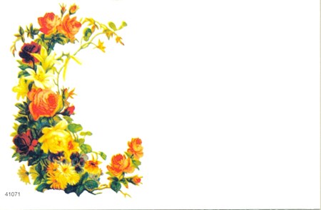 Visittkort, små, Orange blomster i ranke, pk.a 8 stk.