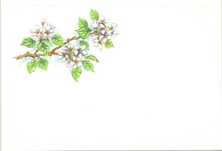 Visittkort, små, Fruktblomst, pk.a 8 stk.