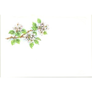 Visittkort, små, Fruktblomst, pk.a 8 stk.