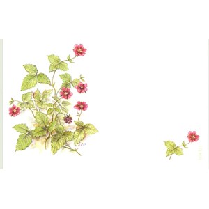 Visittkort, små, Blomster, pk.a 8 stk.