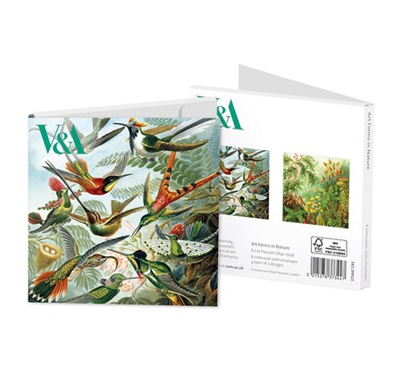 "Ernst Haeckel - Art Forms in Nature" Notecards 8/8
