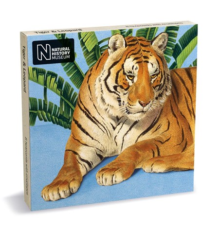 "Tiger & Leopard" Notecards 8/8