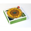 "Botanical Prints" Theme Notecards 20/20