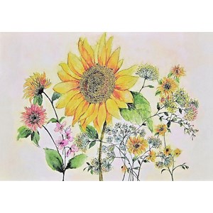 "Watercolor Sunflower" Notecards 14 kort/15 konvolutter