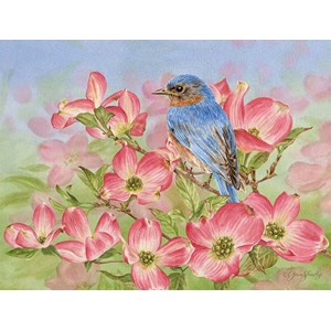 "Bluebird of Happiness" Boxed Note Cards 13/13