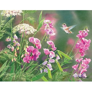 "Wild Sweet Pea" Boxed Note Cards 13/13