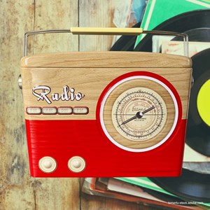 "Radio - Red/Brown" metallboks
