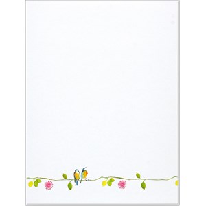 Brevpapir "Watercolor Birds" 30 ark/24 konvolutter