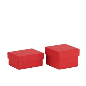 "Basics - Red" 2 + 2 Miniesker