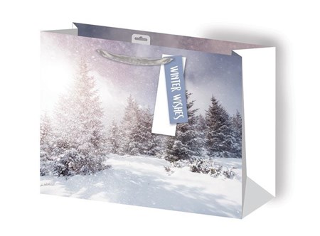 "Photogtaphic Winter Scene" Gavepose large
