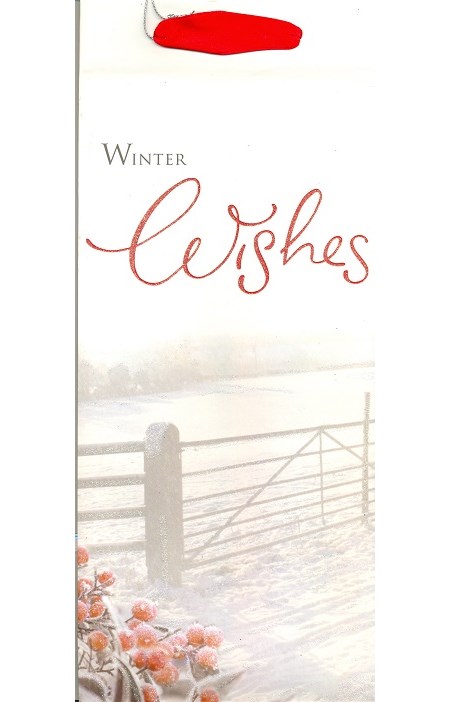 "Photographic Winter Scenes", Flaskepose