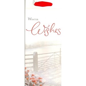 "Photographic Winter Scenes", Flaskepose