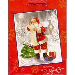 "Traditional Santa", Gavepose medium