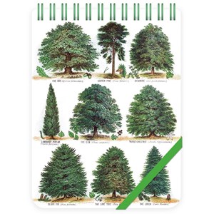 "Our British Forest Trees" Reporter Notepads