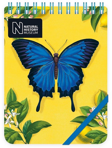 "Ulysses Butterfly" Reporter Notepads