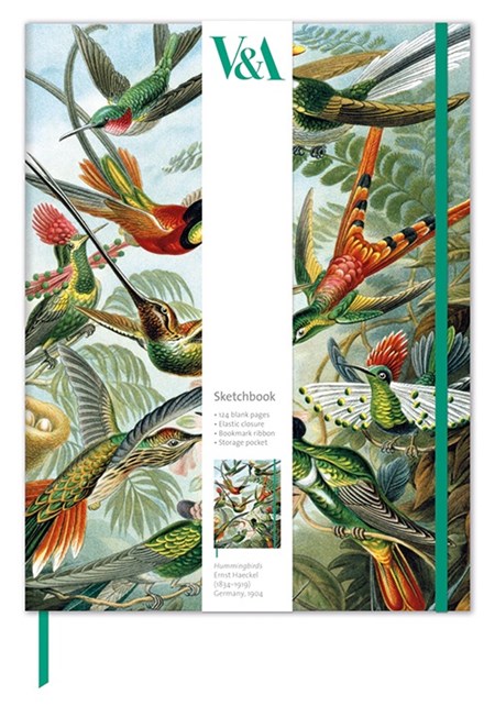 "Hummingbirds" Sketchbook