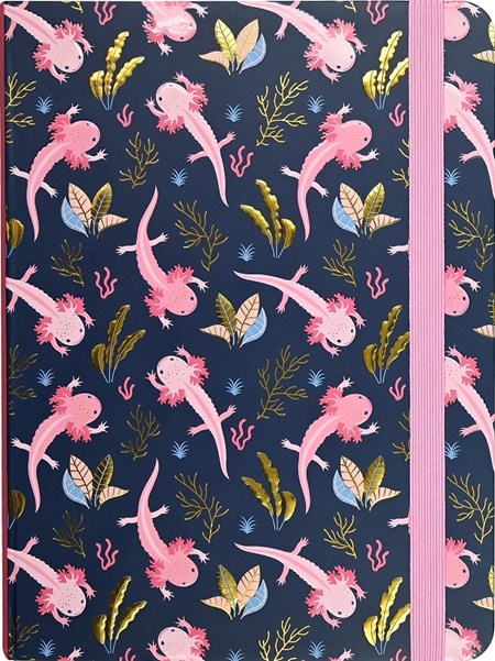 "Axolots" Mid-size journal